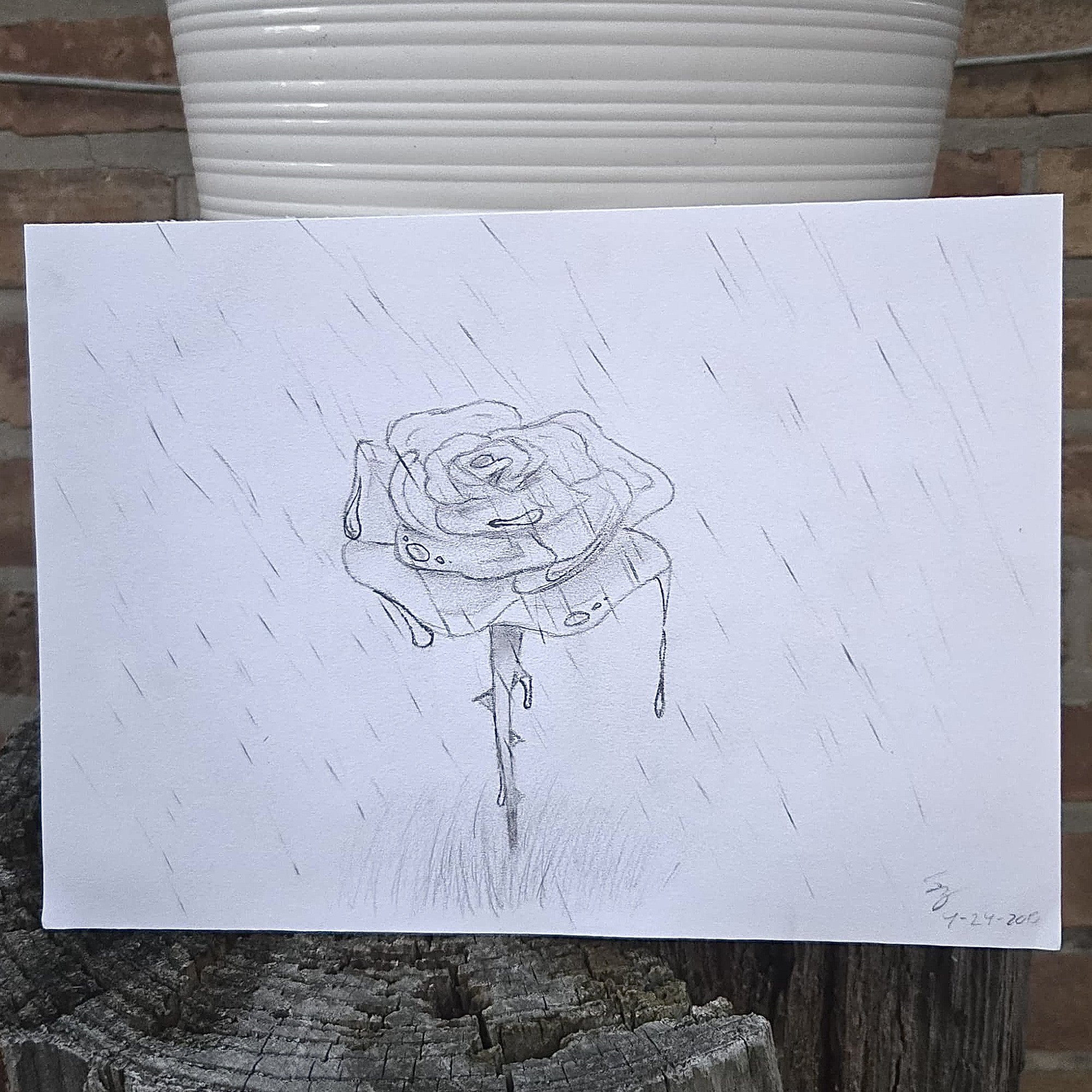 Bloom in the Rain (Thorny Rose Drawing)